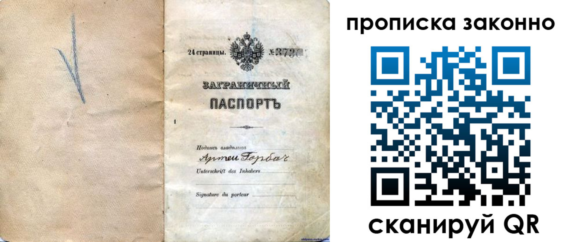 прописка 2025 в Купино