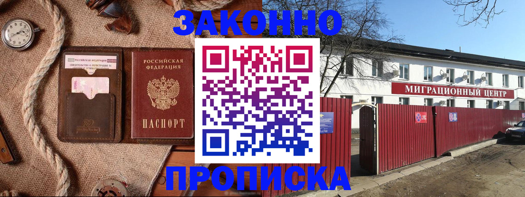 прописка поиск в Купино